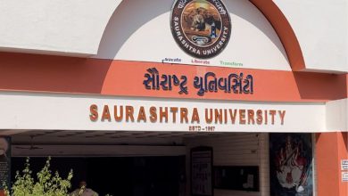 What is the future of Saurashtra University which relies on temporary employees?