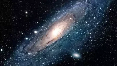 Anando finds two ancient particles that make up Milky Way, German scientists name Shiv-Shakti...