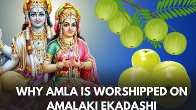 Amalki Ekadashi 2024: Know the significance of Amla Ekadashi, the story behind it