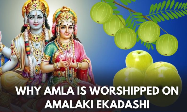 Amalki Ekadashi 2024: Know the significance of Amla Ekadashi, the story behind it