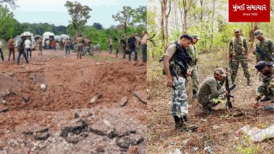 Naxalite bomb plot foiled