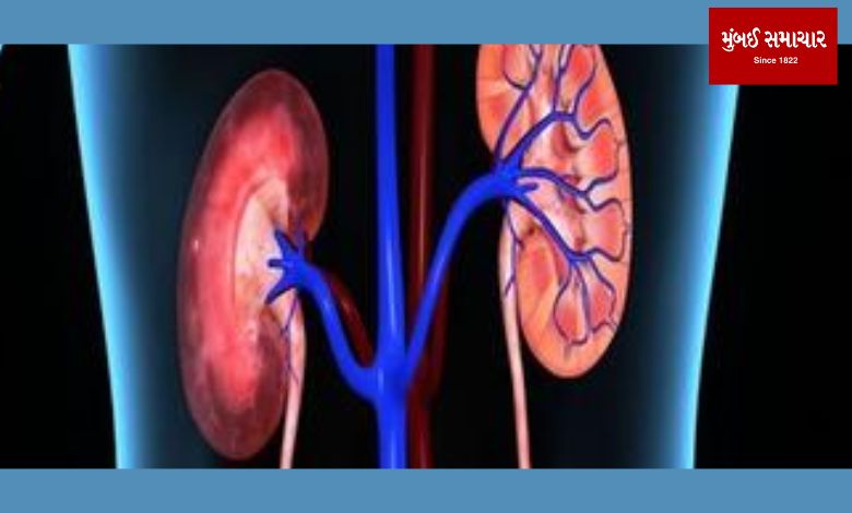 Some habits that can seriously damage your kidneys