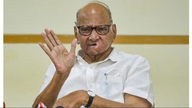 Pawar's power will increase in assembly elections? Sharad Pawar said this big thing about the assembly elections...