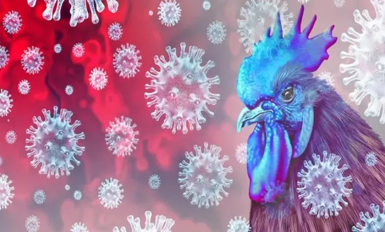 Experts Discussing H5N1 Bird Flu Risks