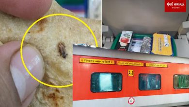 Another complaint of maggots in railway food, traveler shares video