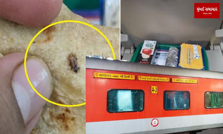 Another complaint of maggots in railway food, traveler shares video