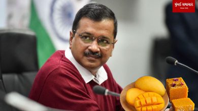Arvind Kejriwal deliberately eats mangoes and sweets: ED official's strange statement