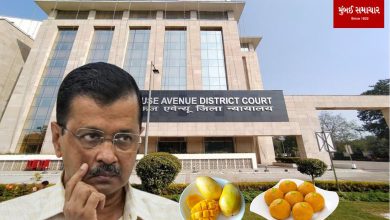 Kejriwal replied in the court 'In jail only 3 times mangoes and 6 times eating sweets'