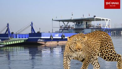 Vasai-Bhayander evening roro service stopped due to fear of leopards