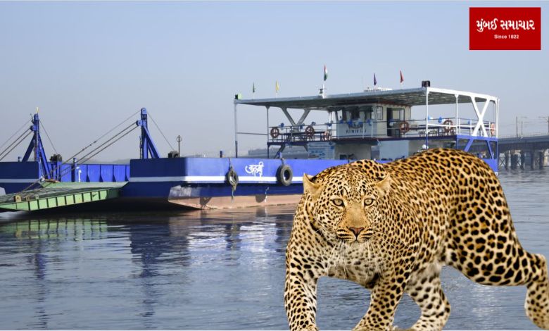 Vasai-Bhayander evening roro service stopped due to fear of leopards