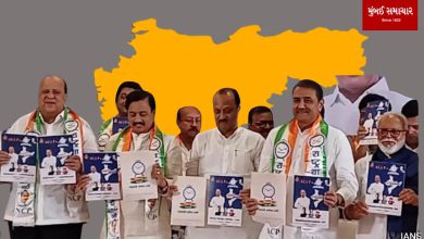 Ajit Pawar's NCP promises caste-based census and MSP for farmers in election manifesto