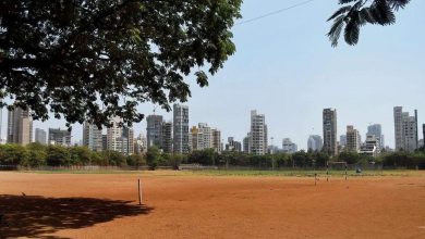 The 'red soil' issue of Dadar's Shivaji Park came up during the election