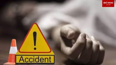 Drunk Tempo drivers hit pedestrians, bikers: Two killed