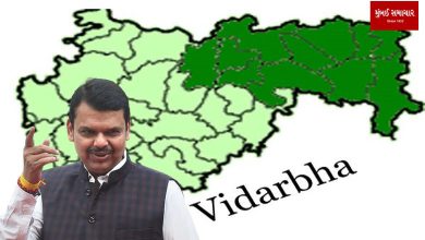 Vidarbha situation favorable for Mahayutia: Fadnavis PM's rally will ensure big victory