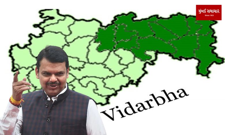 Vidarbha situation favorable for Mahayutia: Fadnavis PM's rally will ensure big victory