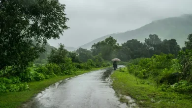 Monsoon Arrival: Meteorological Department