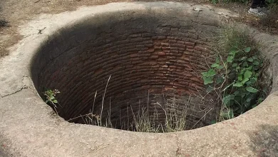 In Jalna, a father killed his three children by throwing them into a well