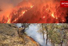 Fierce fire in the forests of Uttarakhand: Nainital High Court Colony also under fire