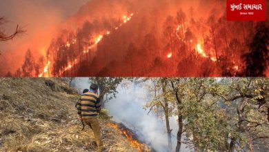 Fierce fire in the forests of Uttarakhand: Nainital High Court Colony also under fire