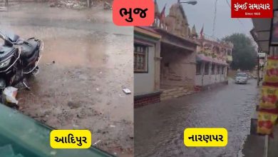 Hailstorm accompanied by tornado in Kutch: Roofs of houses blown off