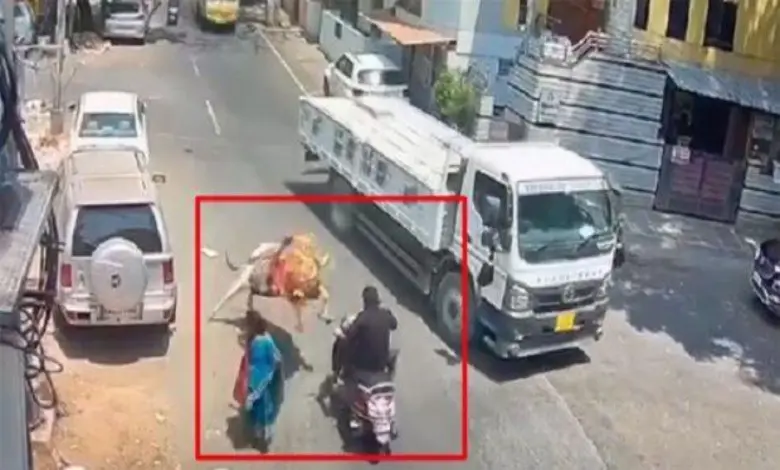 Bengaluru biker evades truck after bull attack