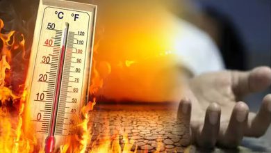 Killer Heat Wave: 13 dead including 6 home guards in Mirzapur