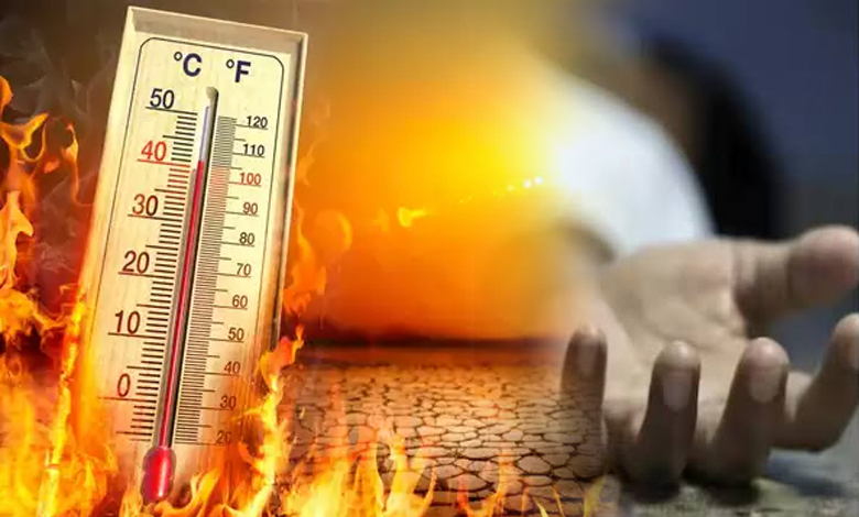 Killer Heat Wave: 13 dead including 6 home guards in Mirzapur