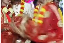 The girlfriend reached the mandwa of the lover; The beating of the bride and what the drummer did at this time is amazing!