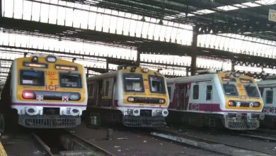 Mumbaigara became Kahyagara: Due to the three-day block in Central Railway, tourists chose to stay at home