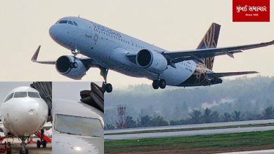 Vistara flight emergency landing at Bhubaneswar airport, know the reason…..
