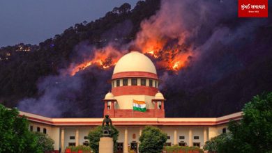 Rain or cloud seeding cannot be relied upon for forest fires in Uttarakhand: Supreme Court