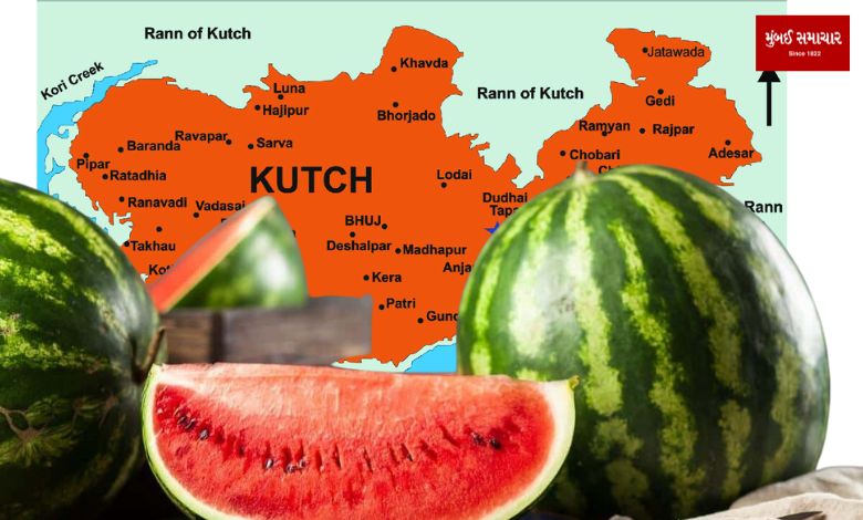 'He Kutch Jo Mabho, Beo Kuro'; A watermelon worth 51 thousand