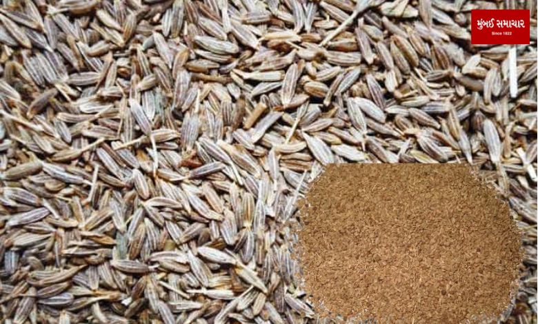 12 tonnes of adulterated fennel seized from factory after fake cumin in Unjha