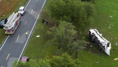 Eight killed in bus accident in Florida: 40 injured
