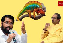 Uddhav Thackeray is a color-changing chameleon