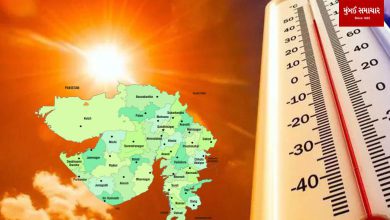 People suffer from skin-scorching heat in the state, the temperature exceeds 40 degrees in these cities.