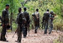 Four Naxalites killed in encounter in Gadchiroli