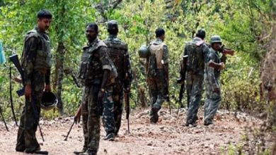 Big success for army personnel in Chhattisgarh: 7 Naxalites killed in encounter