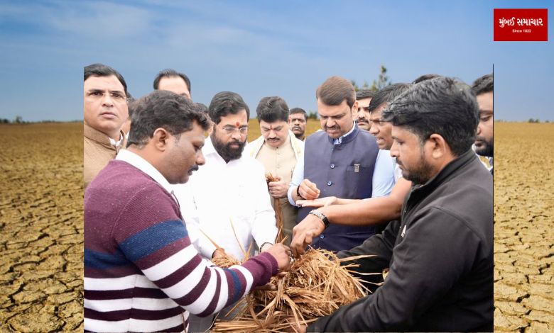 Chief Minister reviews drought relief measures: 68 talukas and 354 revenue boards drought affected