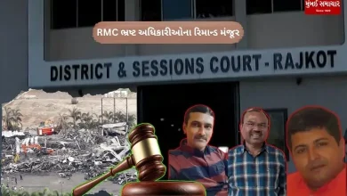 Rajkot fire incident: 12-day remand of 4 corrupt RMC officials granted