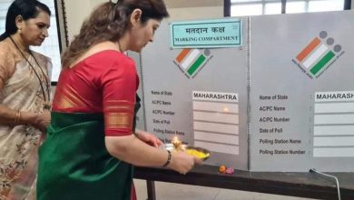 Rupali Chakankar Performing 'Aarti' At Polling Booth, (Image source X)