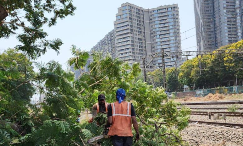 Laughter! Railways will not be disrupted in monsoon due to falling trees