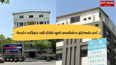 Most of Rajkot's pre-schools, schools and classes have illegal domes and lack of fire safety...