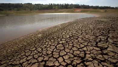 Water crisis: Ground water level has gone down in 51 out of 76 talukas of Marathwada.
