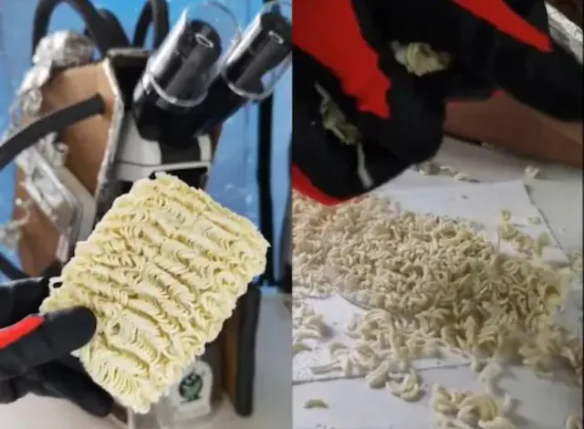 A person put noodles under a microscope and what they saw... the video went viral