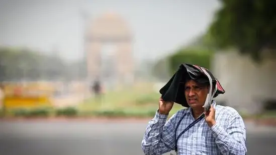 Deadly heat, IMD declares alert, 12 noon to 3 stay-at-home appeal