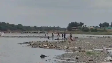 tourists from surat drowned in narmada