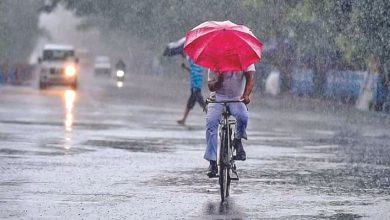 Monsoon to arrive in Kerala on 31st May