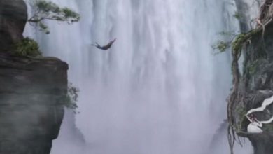 Had to jump from the waterfall expensive, lost life