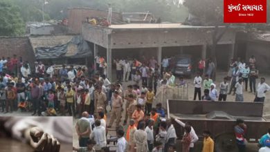 Shameful incident in Uttar Pradesh: Killed mother and wife, committed suicide